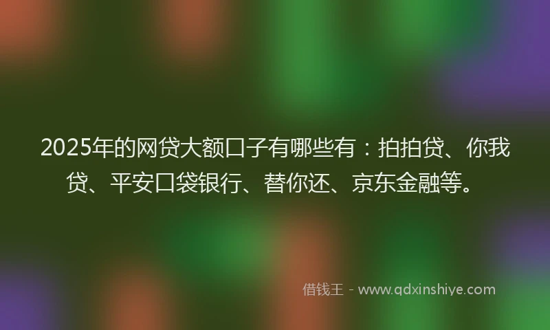 2025年的网贷大额口子有哪些有：拍拍贷、你我贷、平安口袋银行、替你还、京东金融等。