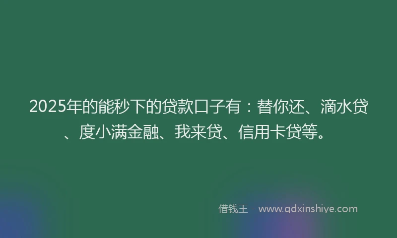 2025年的能秒下的贷款口子有：替你还、滴水贷、度小满金融、我来贷、信用卡贷等。