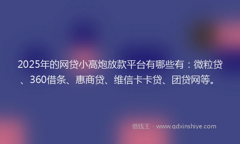 2025年的网贷小高炮放款平台有哪些有：微粒贷、360借条、惠商贷、维信卡卡贷、团贷网等。
