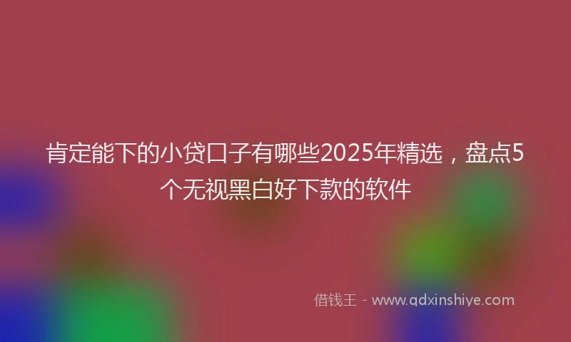 肯定能下的小贷口子有哪些2025年精选，盘点5个无视黑白好下款的软件