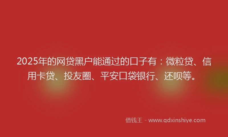 2025年的网贷黑户能通过的口子有：微粒贷、信用卡贷、投友圈、平安口袋银行、还呗等。