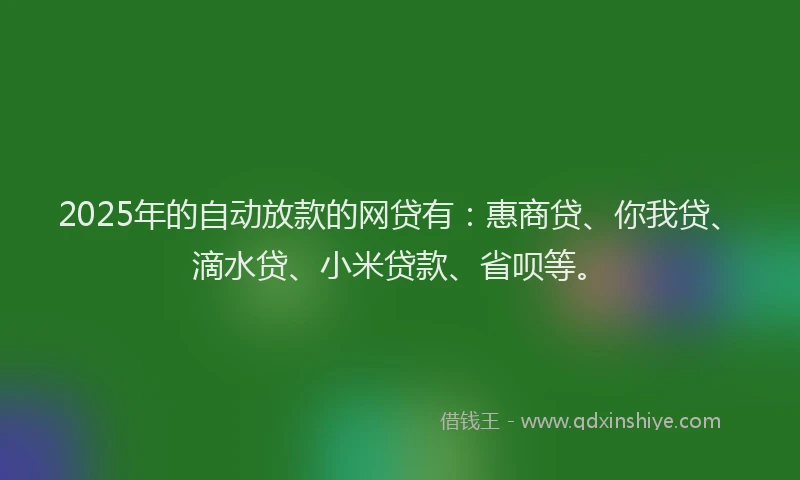 2025年的自动放款的网贷有：惠商贷、你我贷、滴水贷、小米贷款、省呗等。