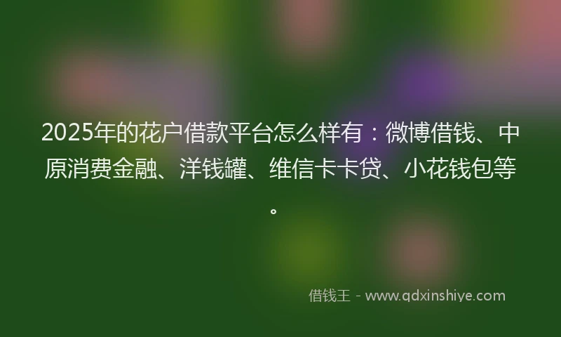 2025年的花户借款平台怎么样有：微博借钱、中原消费金融、洋钱罐、维信卡卡贷、小花钱包等。