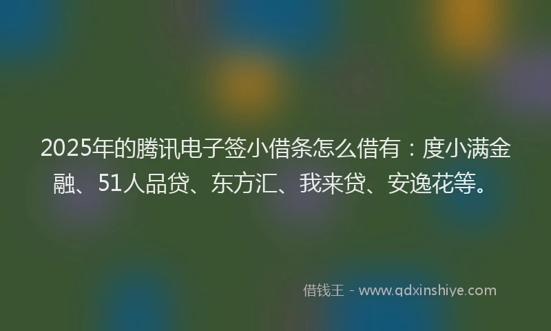 2025年的腾讯电子签小借条怎么借有：度小满金融、51人品贷、东方汇、我来贷、安逸花等。
