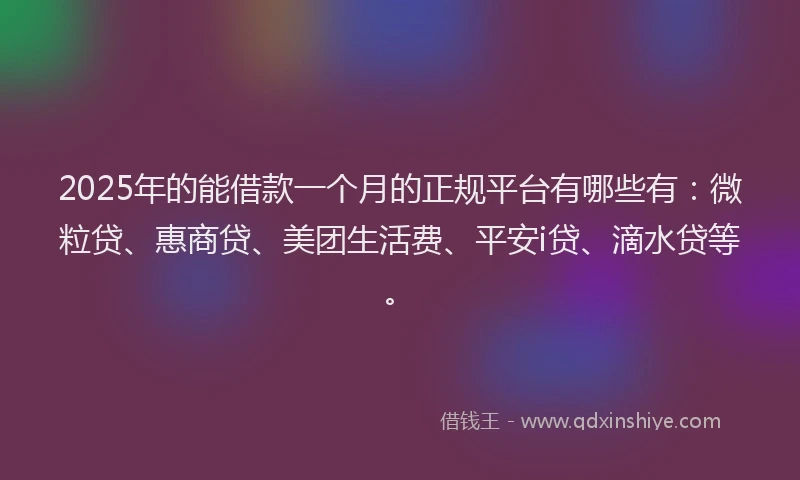 2025年的能借款一个月的正规平台有哪些有：微粒贷、惠商贷、美团生活费、平安i贷、滴水贷等。