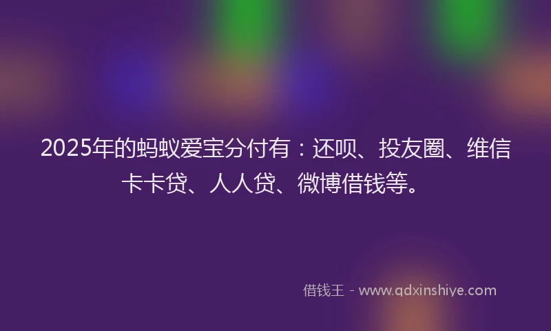 2025年的蚂蚁爱宝分付有：还呗、投友圈、维信卡卡贷、人人贷、微博借钱等。