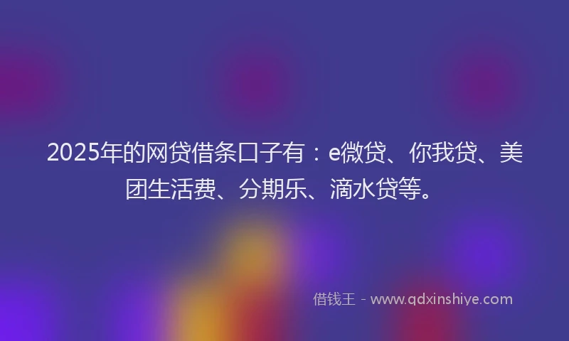 2025年的网贷借条口子有：e微贷、你我贷、美团生活费、分期乐、滴水贷等。