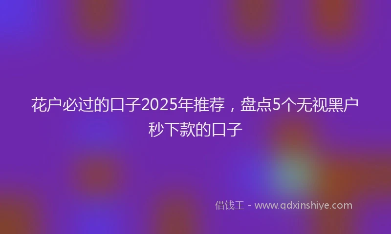 花户必过的口子2025年推荐，盘点5个无视黑户秒下款的口子