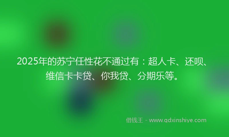 2025年的苏宁任性花不通过有：超人卡、还呗、维信卡卡贷、你我贷、分期乐等。