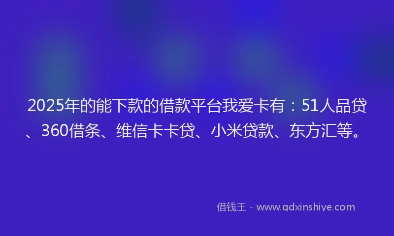 2025年的能下款的借款平台我爱卡有：51人品贷、360借条、维信卡卡贷、小米贷款、东方汇等。