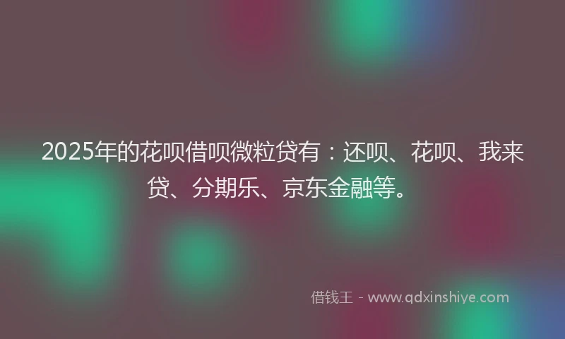 2025年的花呗借呗微粒贷有：还呗、花呗、我来贷、分期乐、京东金融等。