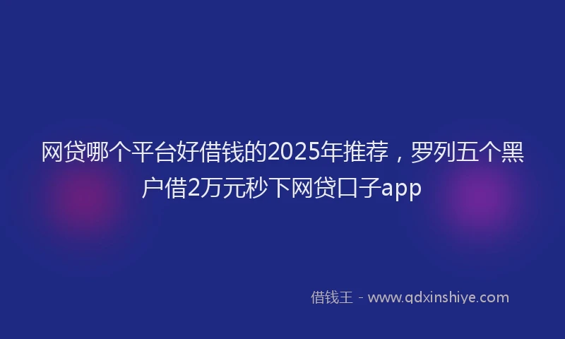 网贷哪个平台好借钱的2025年推荐，罗列五个黑户借2万元秒下网贷口子app