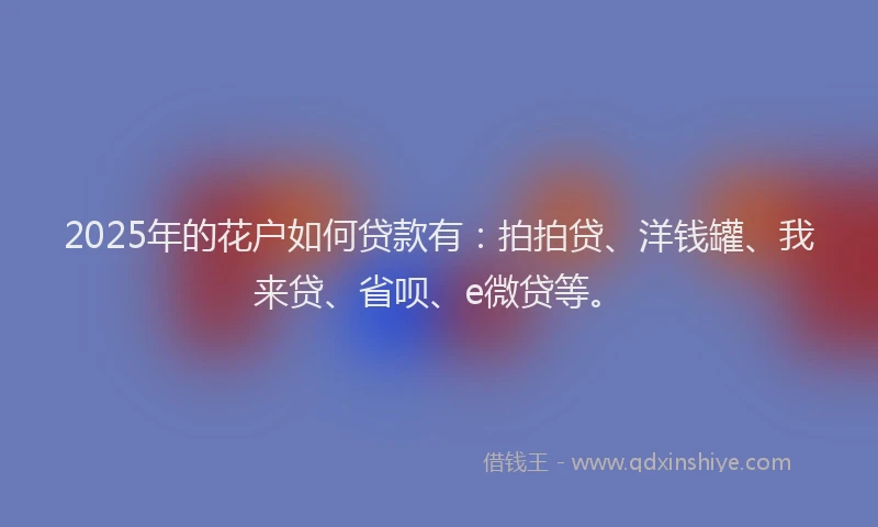 2025年的花户如何贷款有：拍拍贷、洋钱罐、我来贷、省呗、e微贷等。