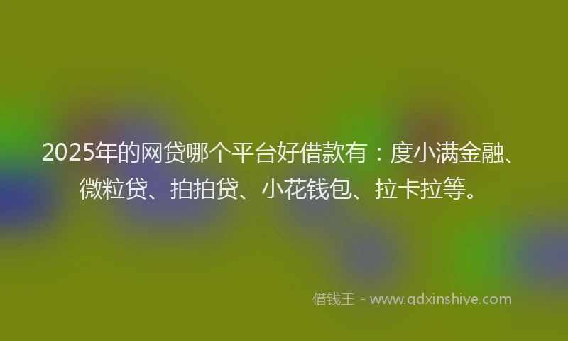 2025年的网贷哪个平台好借款有：度小满金融、微粒贷、拍拍贷、小花钱包、拉卡拉等。