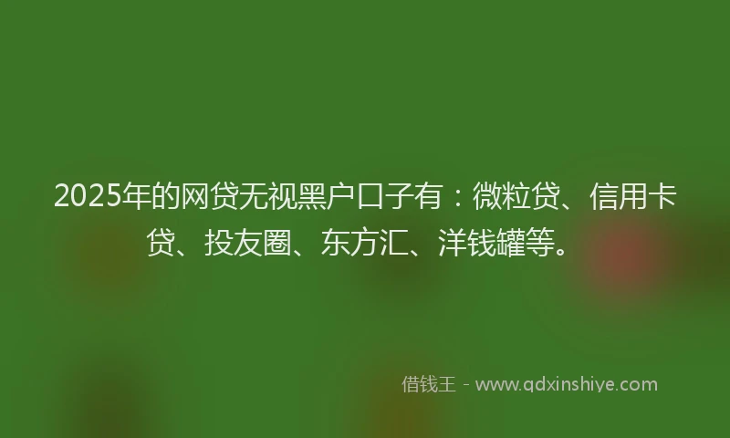 2025年的网贷无视黑户口子有：微粒贷、信用卡贷、投友圈、东方汇、洋钱罐等。