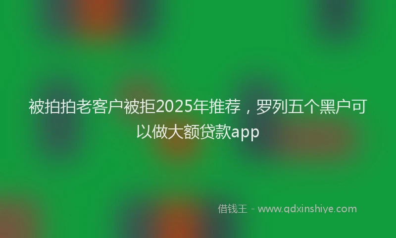 被拍拍老客户被拒2025年推荐，罗列五个黑户可以做大额贷款app