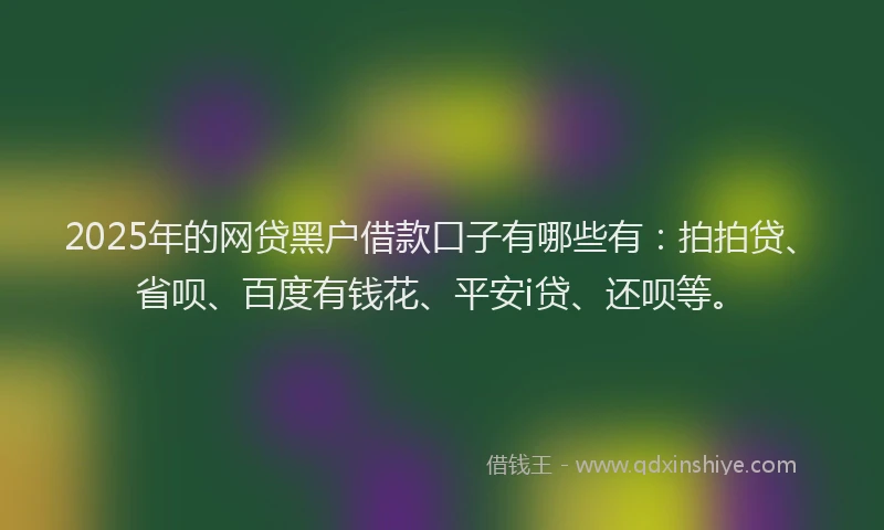 2025年的网贷黑户借款口子有哪些有：拍拍贷、省呗、百度有钱花、平安i贷、还呗等。