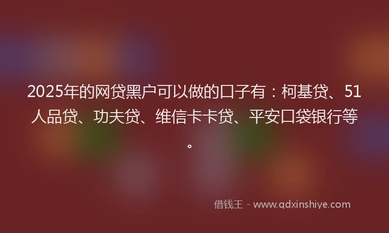 2025年的网贷黑户可以做的口子有：柯基贷、51人品贷、功夫贷、维信卡卡贷、平安口袋银行等。