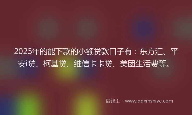 2025年的能下款的小额贷款口子有：东方汇、平安i贷、柯基贷、维信卡卡贷、美团生活费等。