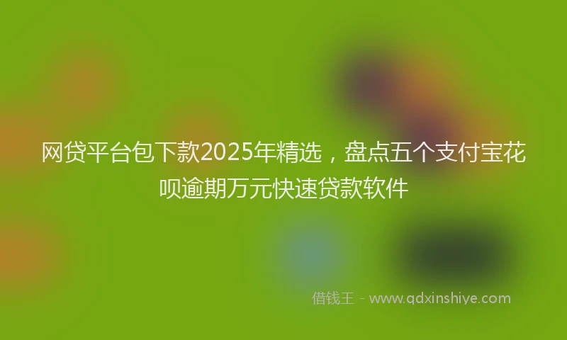 网贷平台包下款2025年精选，盘点五个支付宝花呗逾期万元快速贷款软件