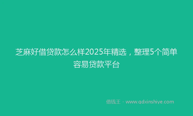 芝麻好借贷款怎么样2025年精选，整理5个简单容易贷款平台