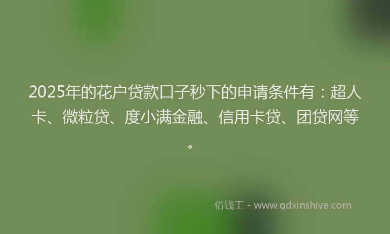 2025年的花户贷款口子秒下的申请条件有：超人卡、微粒贷、度小满金融、信用卡贷、团贷网等。