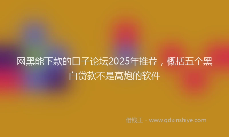网黑能下款的口子论坛2025年推荐，概括五个黑白贷款不是高炮的软件