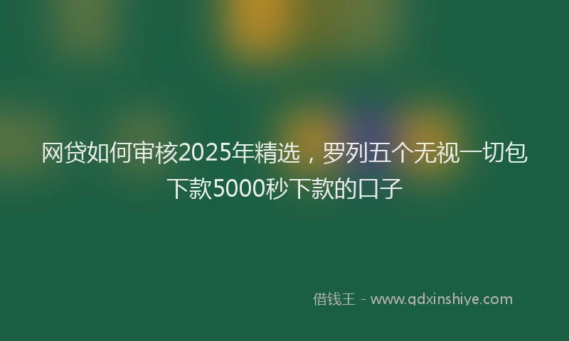 网贷如何审核2025年精选，罗列五个无视一切包下款5000秒下款的口子