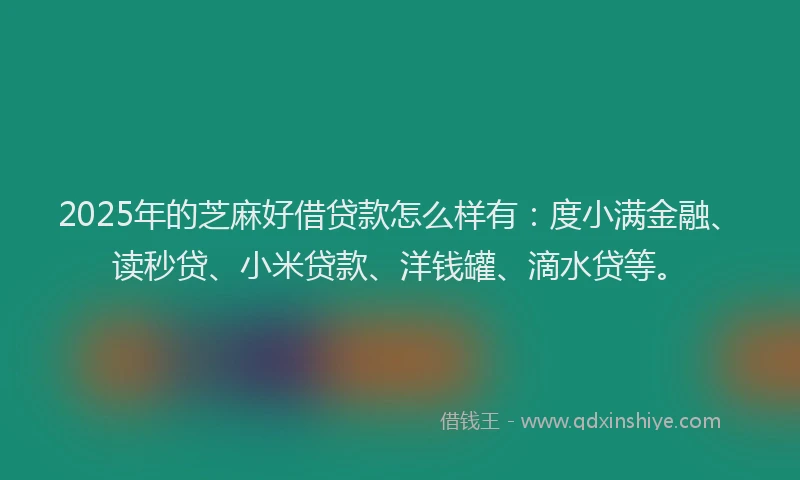 2025年的芝麻好借贷款怎么样有：度小满金融、读秒贷、小米贷款、洋钱罐、滴水贷等。
