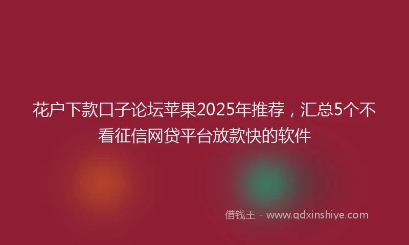 花户下款口子论坛苹果2025年推荐，汇总5个不看征信网贷平台放款快的软件