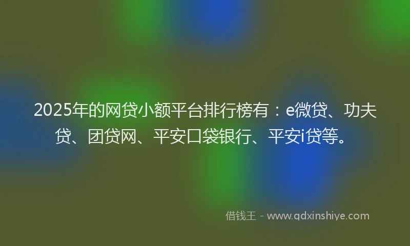 2025年的网贷小额平台排行榜有：e微贷、功夫贷、团贷网、平安口袋银行、平安i贷等。