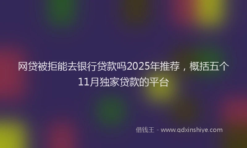 网贷被拒能去银行贷款吗2025年推荐，概括五个11月独家贷款的平台