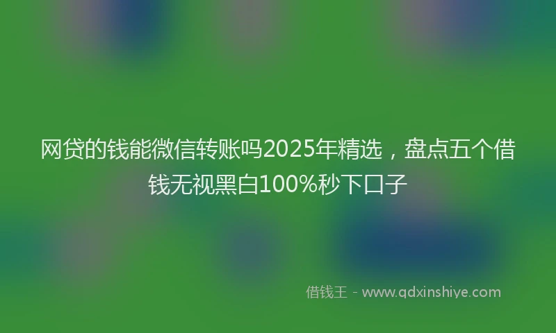 网贷的钱能微信转账吗2025年精选，盘点五个借钱无视黑白100%秒下口子