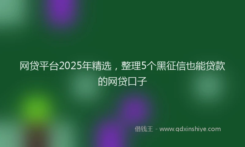 网贷平台2025年精选，整理5个黑征信也能贷款的网贷口子