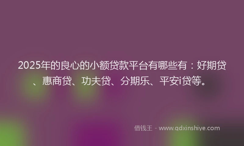 2025年的良心的小额贷款平台有哪些有：好期贷、惠商贷、功夫贷、分期乐、平安i贷等。
