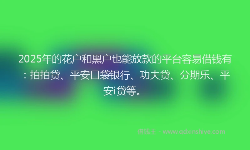 2025年的花户和黑户也能放款的平台容易借钱有：拍拍贷、平安口袋银行、功夫贷、分期乐、平安i贷等。