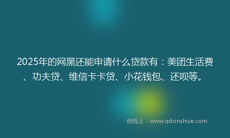 2025年的网黑还能申请什么贷款有：美团生活费、功夫贷、维信卡卡贷、小花钱包、还呗等。