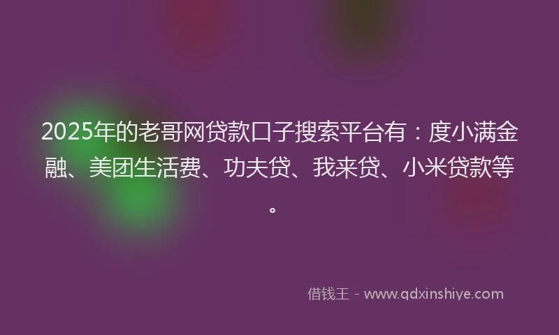 2025年的老哥网贷款口子搜索平台有：度小满金融、美团生活费、功夫贷、我来贷、小米贷款等。