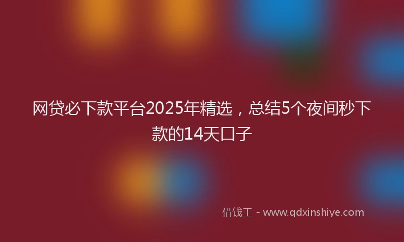 网贷必下款平台2025年精选，总结5个夜间秒下款的14天口子