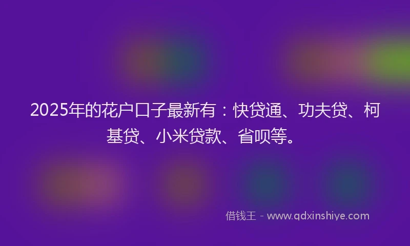 2025年的花户口子最新有：快贷通、功夫贷、柯基贷、小米贷款、省呗等。