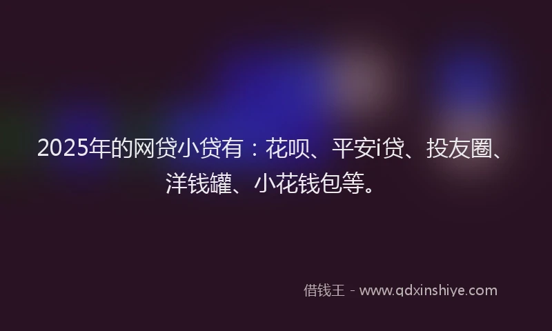 2025年的网贷小贷有：花呗、平安i贷、投友圈、洋钱罐、小花钱包等。