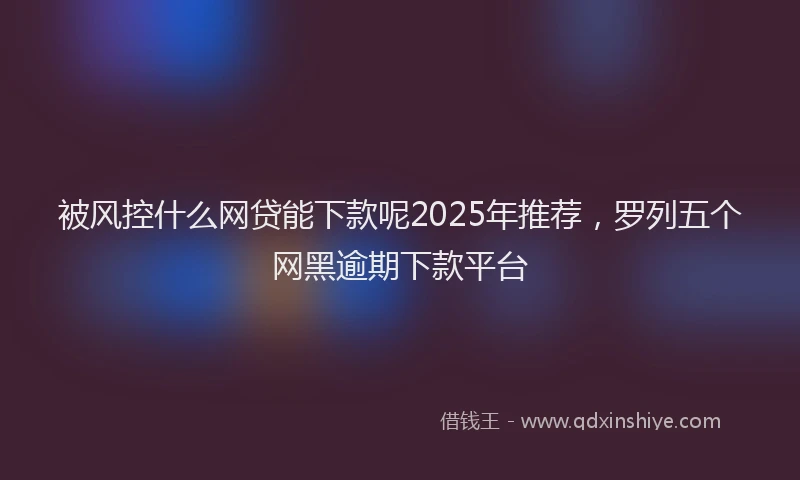 被风控什么网贷能下款呢2025年推荐，罗列五个网黑逾期下款平台