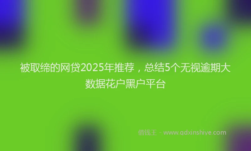 被取缔的网贷2025年推荐，总结5个无视逾期大数据花户黑户平台