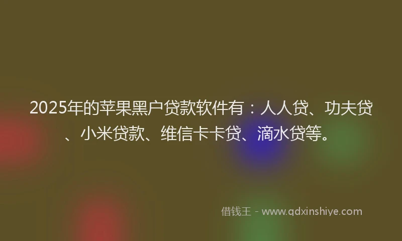 2025年的苹果黑户贷款软件有：人人贷、功夫贷、小米贷款、维信卡卡贷、滴水贷等。