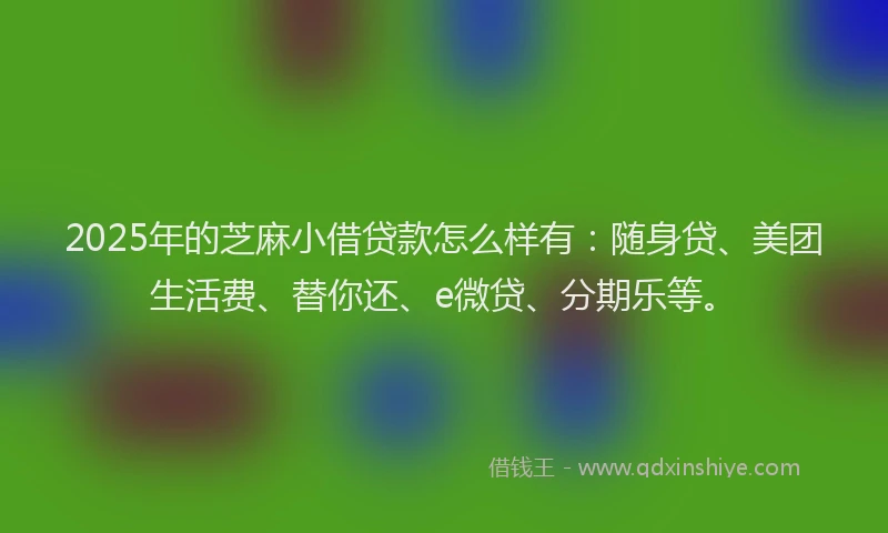 2025年的芝麻小借贷款怎么样有：随身贷、美团生活费、替你还、e微贷、分期乐等。