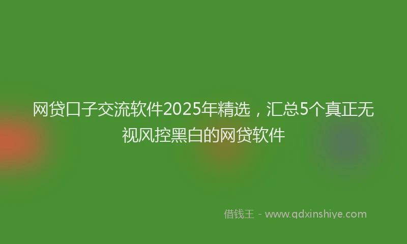 网贷口子交流软件2025年精选，汇总5个真正无视风控黑白的网贷软件