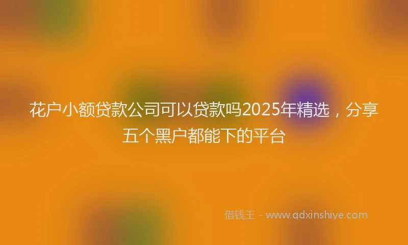 花户小额贷款公司可以贷款吗2025年精选，分享五个黑户都能下的平台