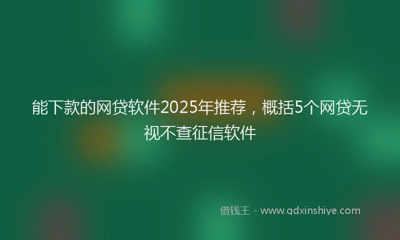 能下款的网贷软件2025年推荐，概括5个网贷无视不查征信软件
