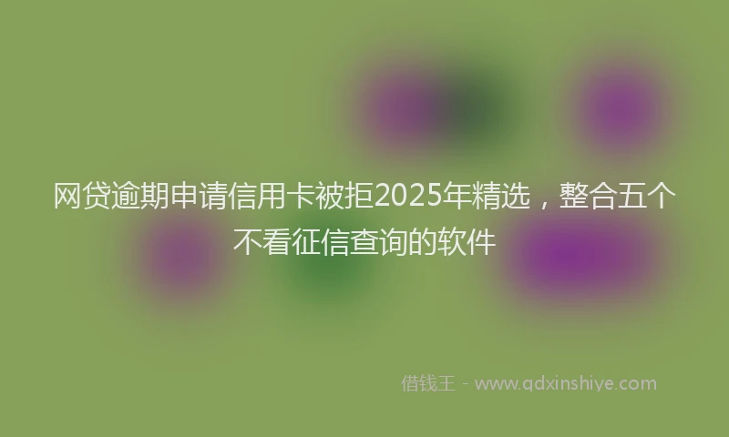 网贷逾期申请信用卡被拒2025年精选，整合五个不看征信查询的软件