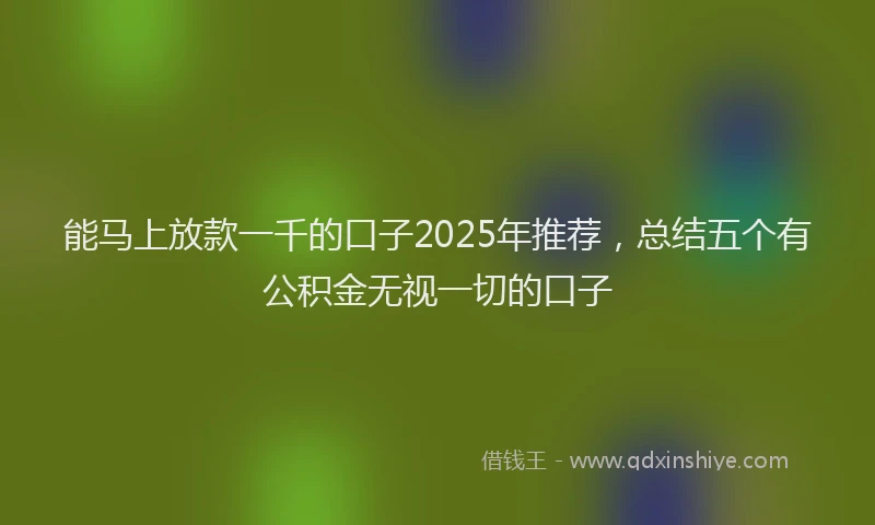 能马上放款一千的口子2025年推荐，总结五个有公积金无视一切的口子